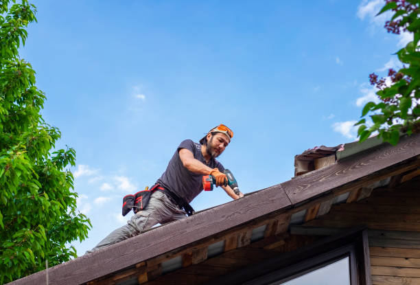 Best Roof Coating and Sealing  in Lone Jack, MO