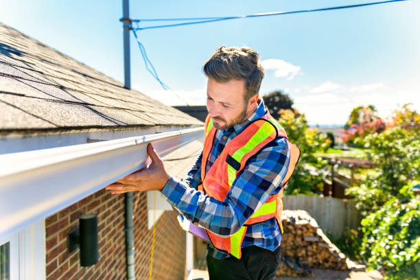 Best Solar Panel Roofing Installation  in Lone Jack, MO