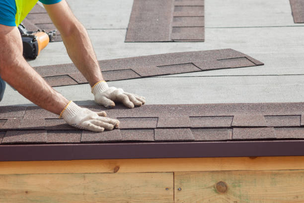 Best Gutter Installation and Repair  in Lone Jack, MO